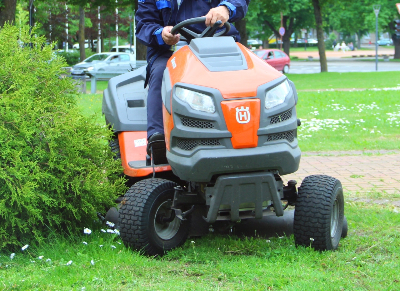 Į parkų priežiūros konkursus kviečiami ir mažieji verslai