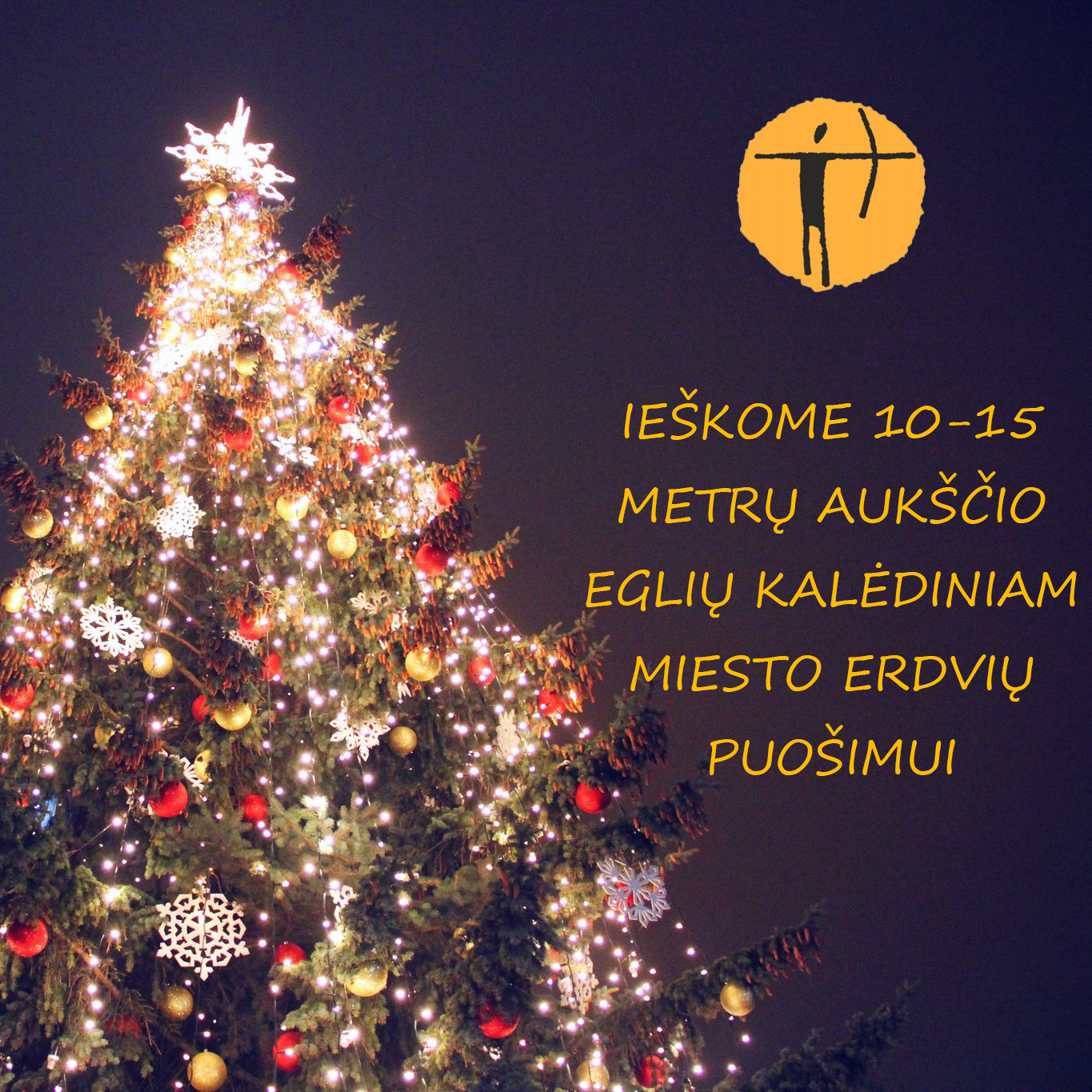 Šiaulių miesto savivaldybė ieško eglučių