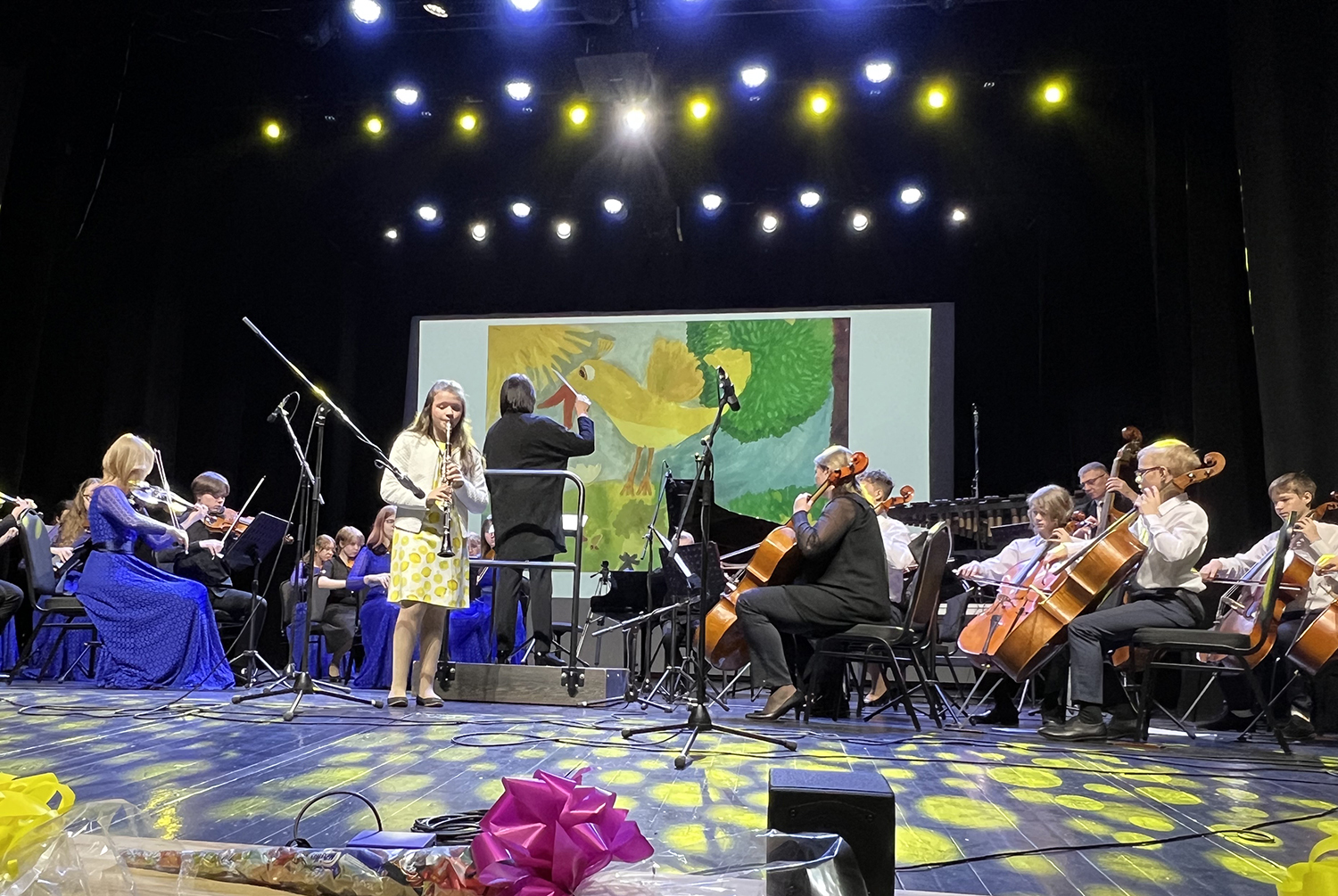 Jungtinis Šiaulių ir Jelgavos jaunųjų atlikėjų orkestras pakvietė į teatralizuotą koncertą „Atbundanti gamta“