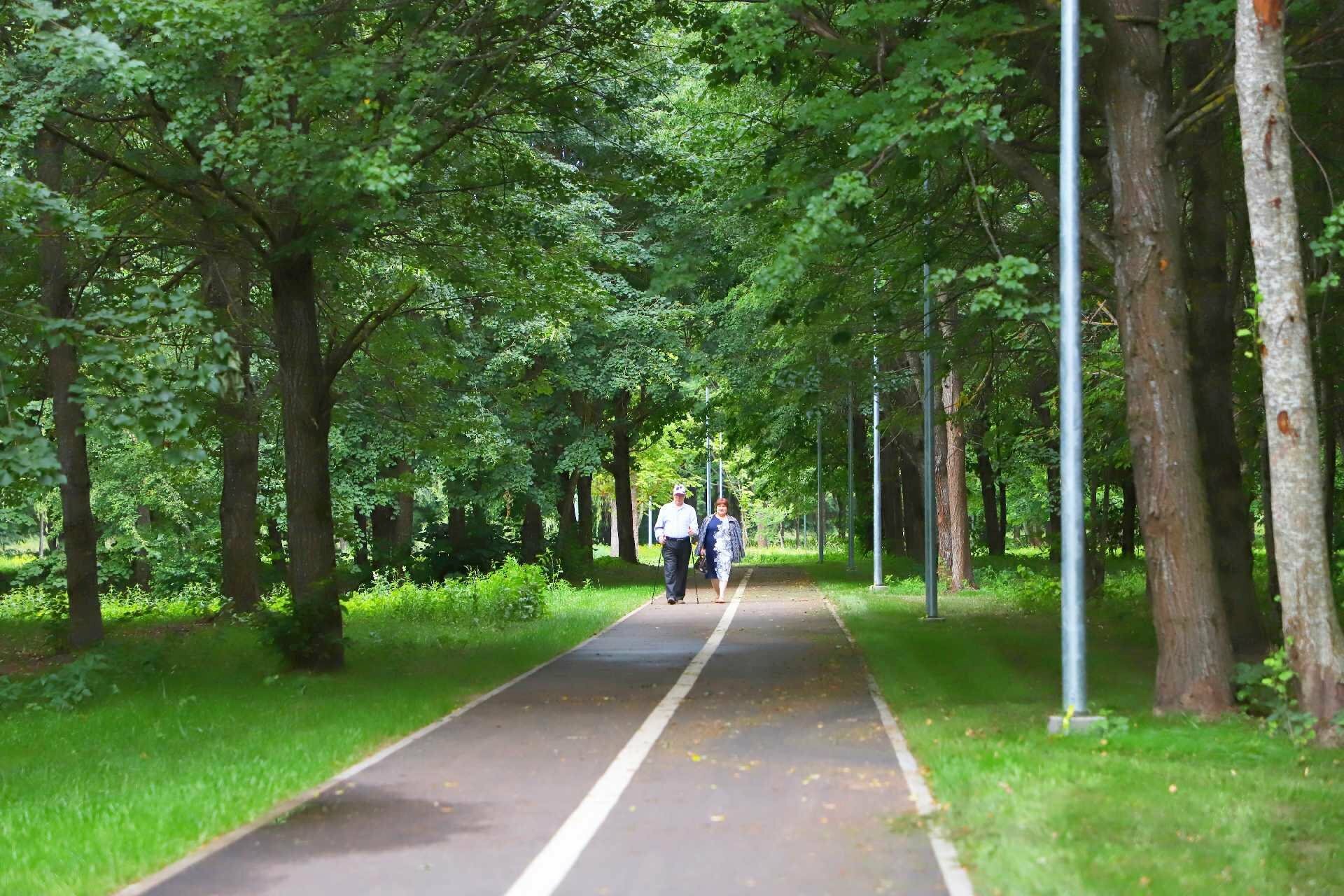 Klausiame: kokių aplinkos gerinimo ir kovos su klimato kaita priemonių pirmiausia reikėtų imtis Šiaulių m. savivaldybėje?