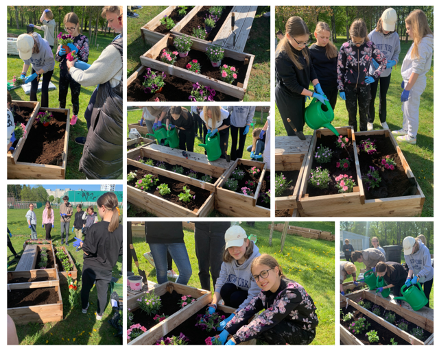 Įvykdytas „Nordplus“ programos projektas „Think green - work steam"