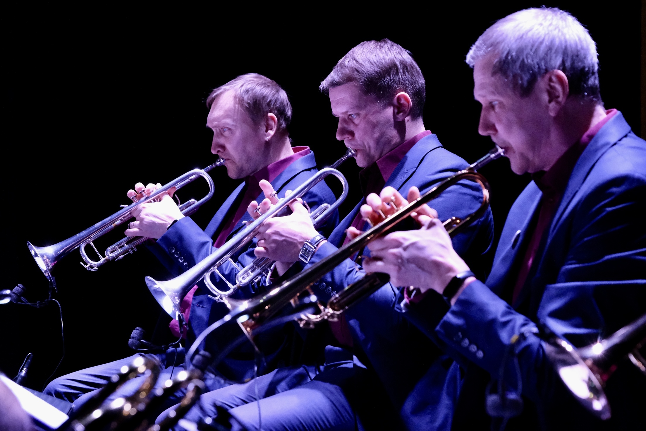 Profesionaliam muzikantui trys profesijos – ne riba