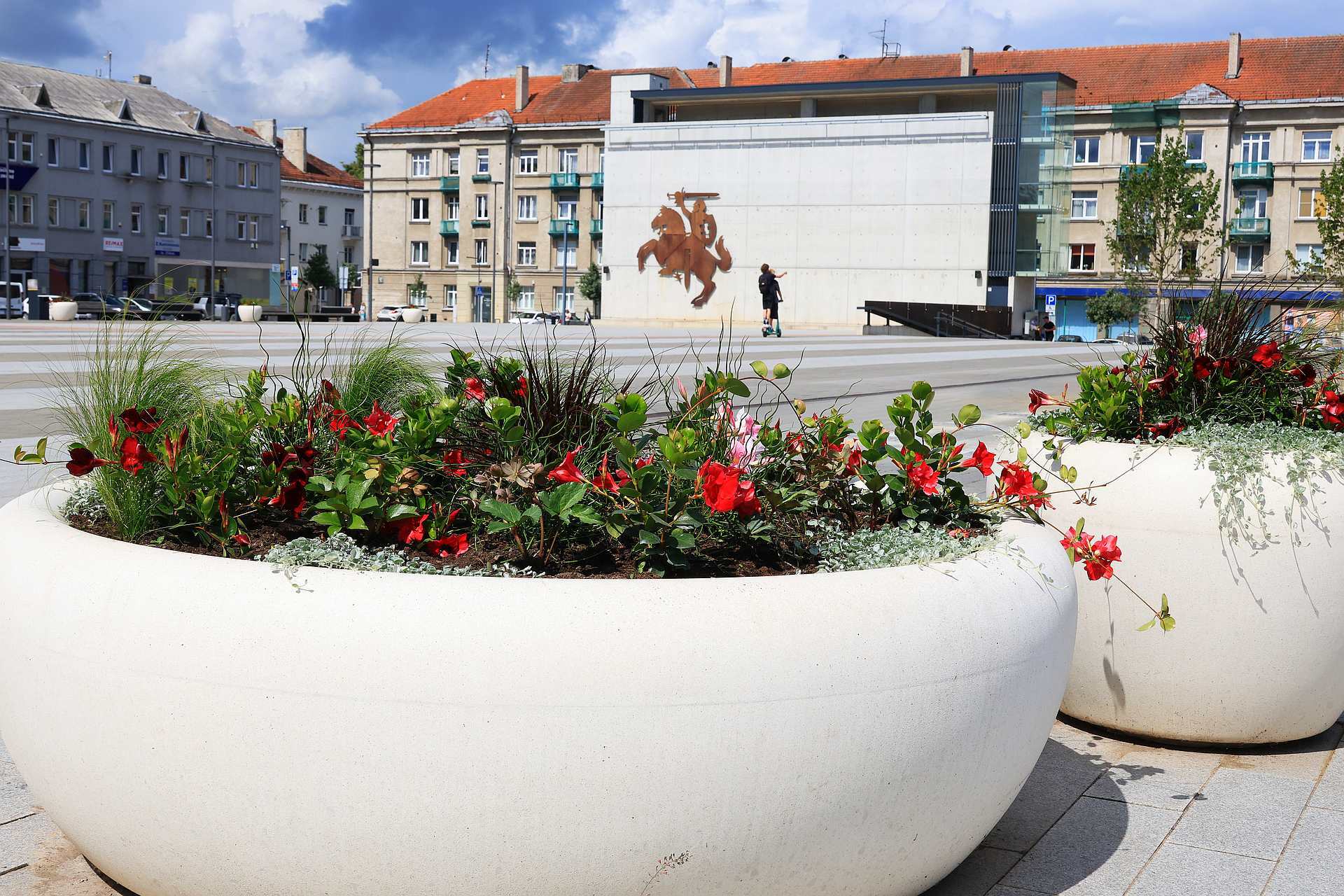 Šiauliuose sužysta vasaros gėlės