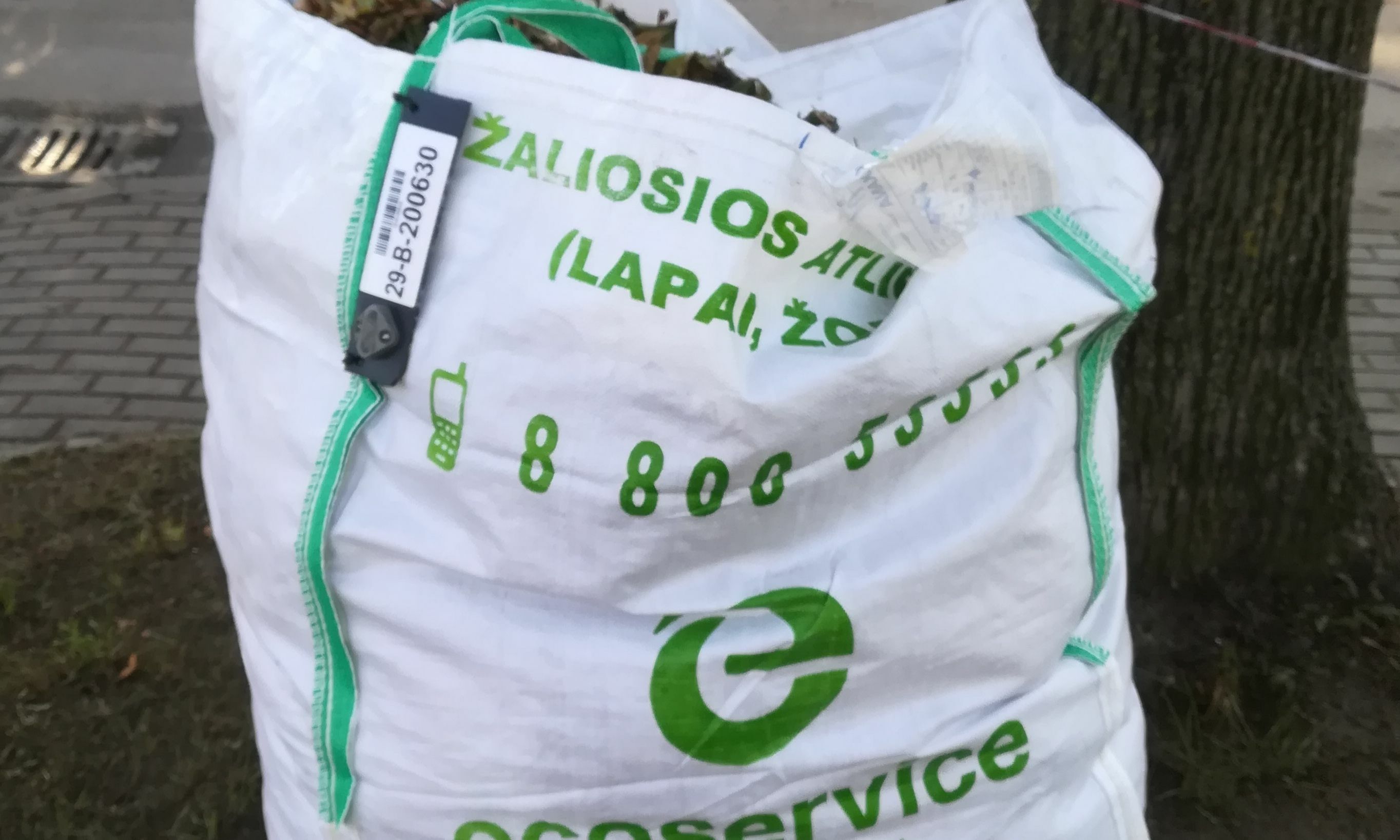 Šiaulių mieste žaliųjų atliekų surinkimo priemonės (konteineriai ir didmaišiai) bus tuštinamos pagal grafiką iki šių metų gruodžio mėn. vidurio