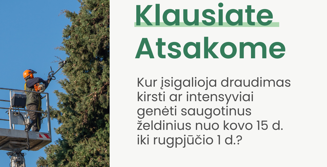 Įsigalioja draudimas kirsti ar intensyviai...