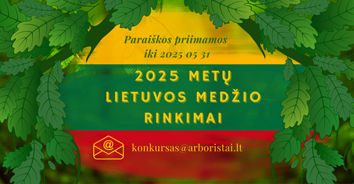2025 metų Lietuvos medžio rinkimai