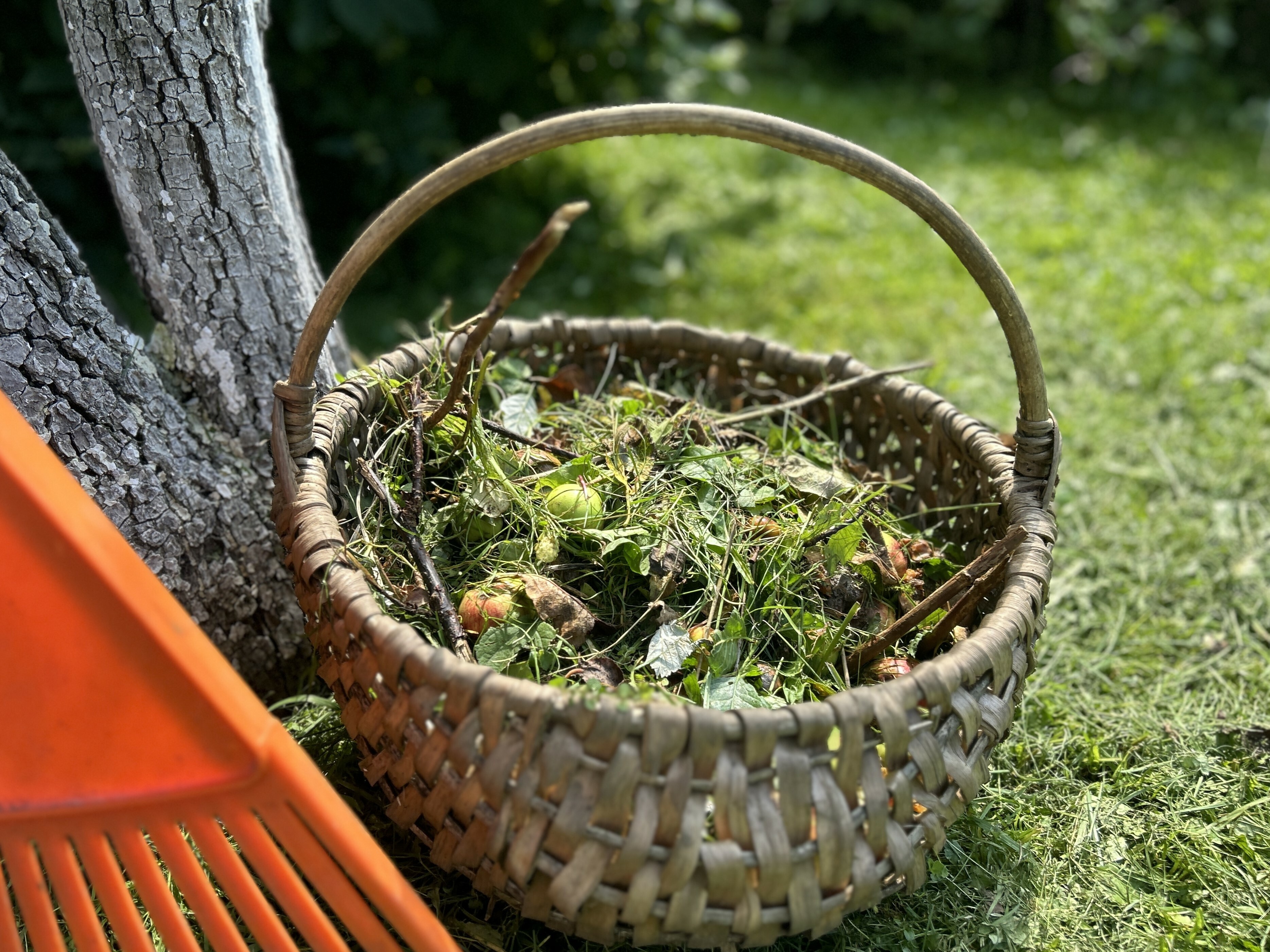 Rugpjūčio darbai: tinkamas žaliųjų atliekų...