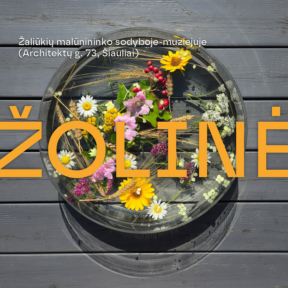 Žolinės šventė Žaliūkių malūnininko sodyboje-muziejuje
