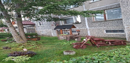 Klubas „Dainoriai“ kviečia į rudeninę talką