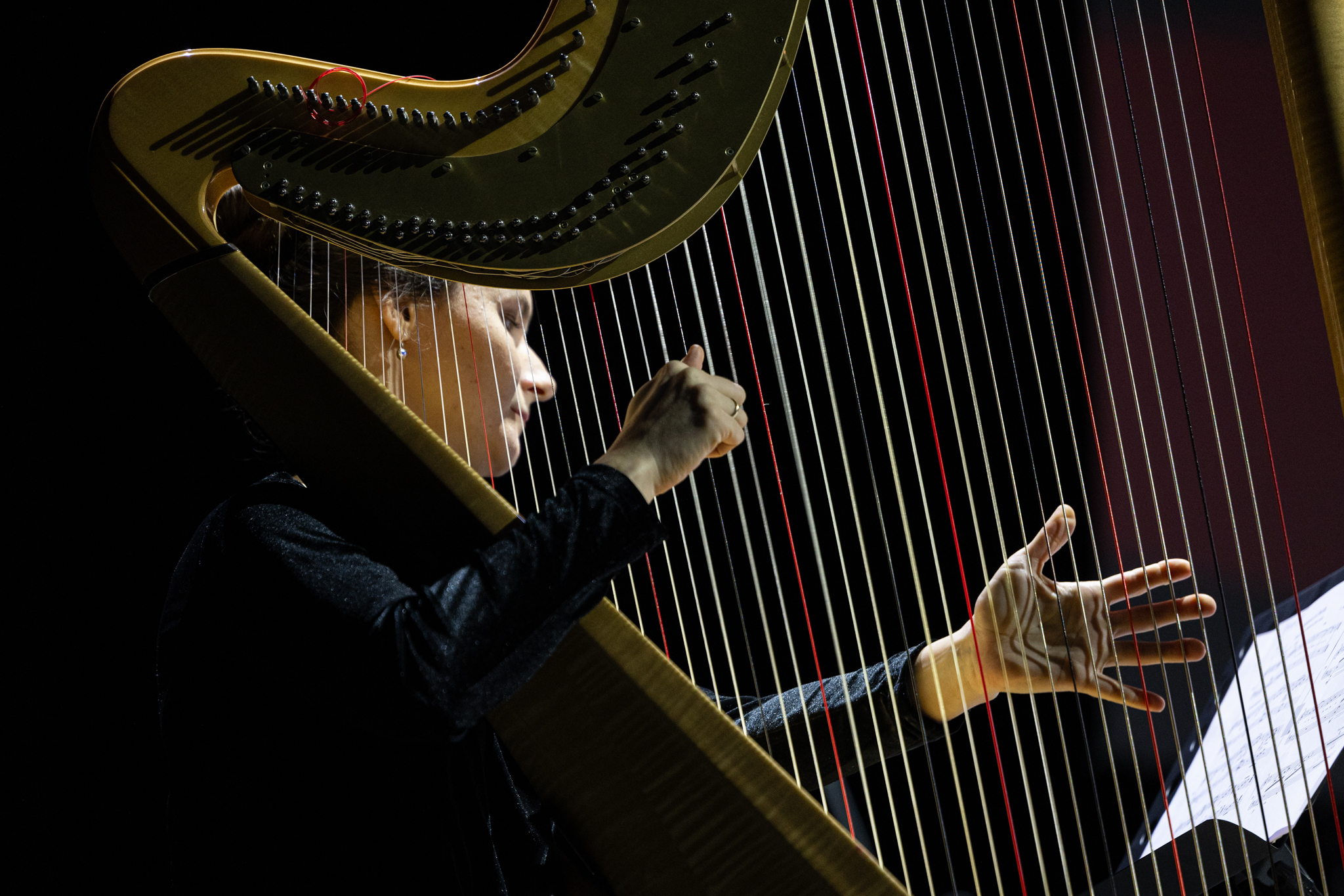 t6-nuotr-gintare-daknyte