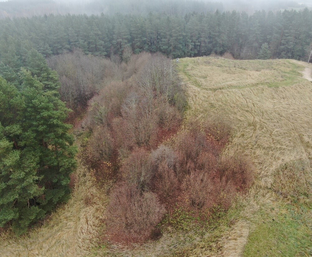 Informacija apie planuojamus želdinių kirtimus...