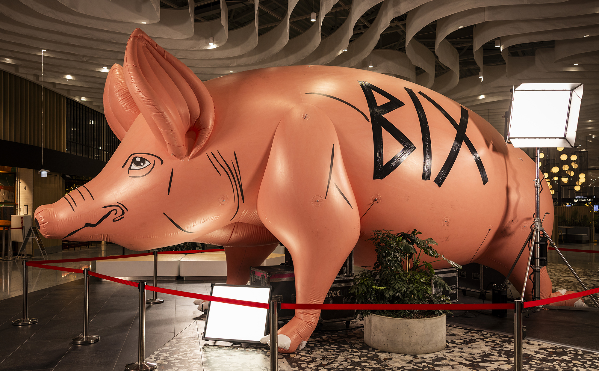 vidas-c-erniauskas-mg-2220