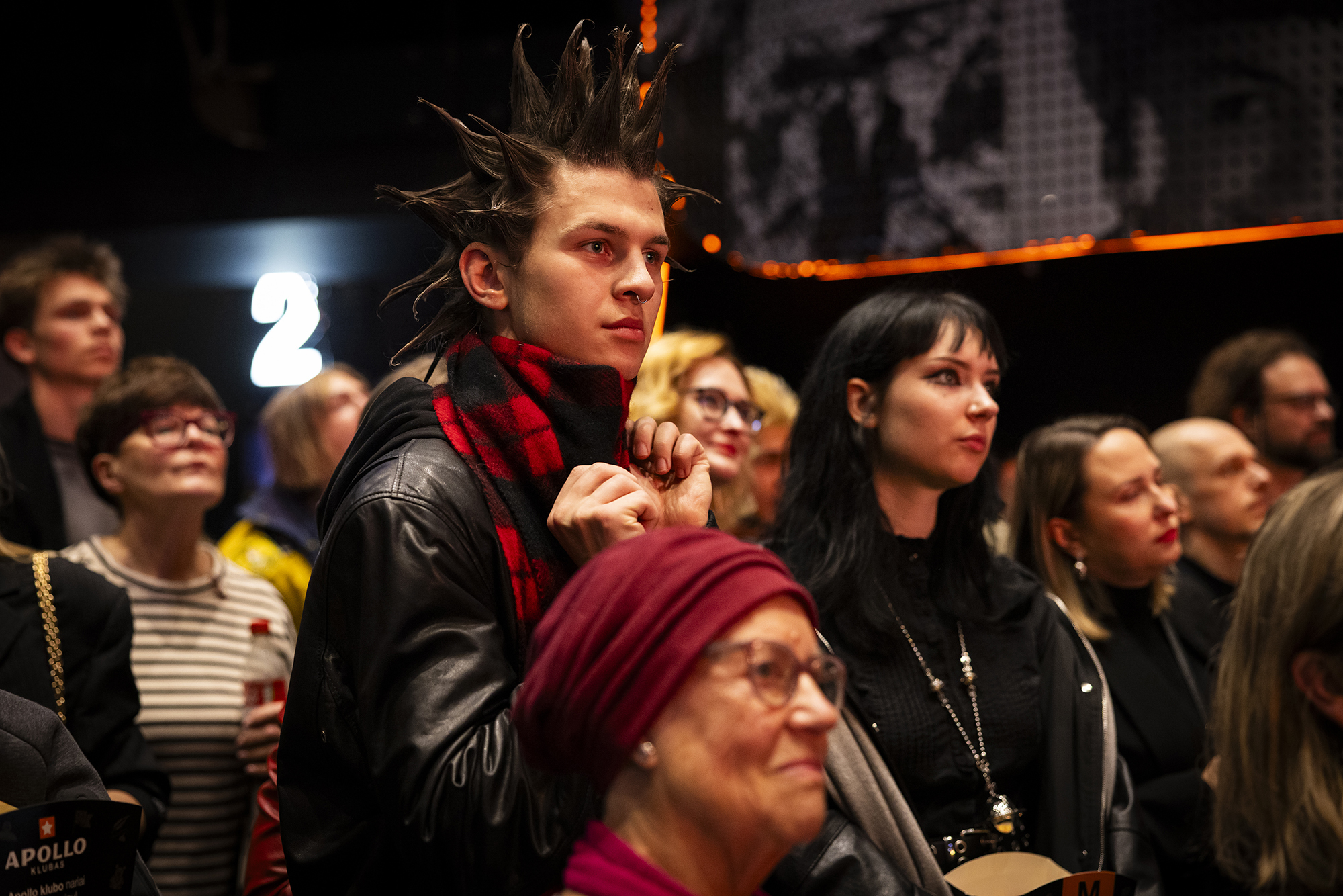 vidas-c-erniauskas-mg-3005