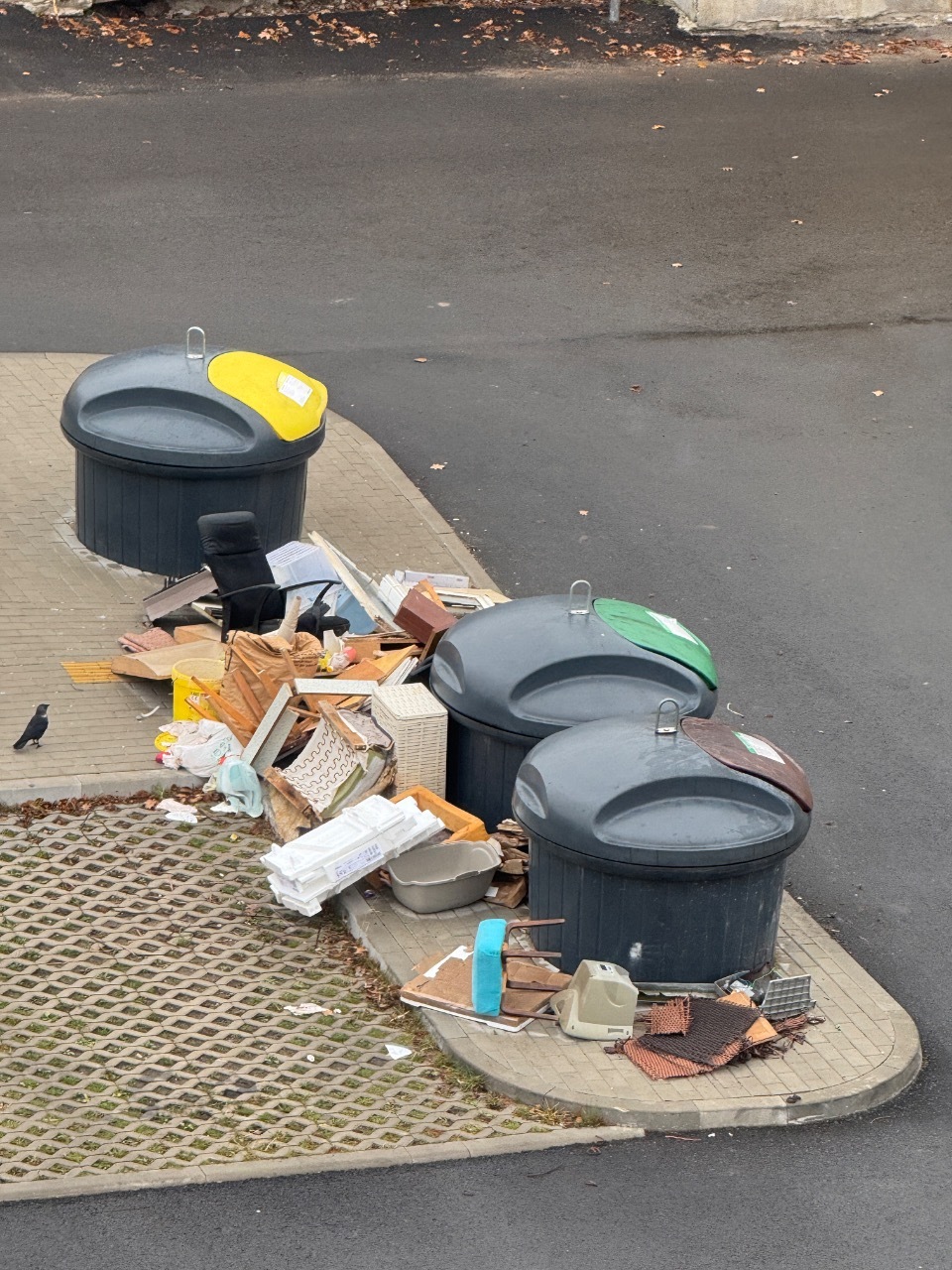 Šiaulių miesto savivaldybė skelbia 2025 m....