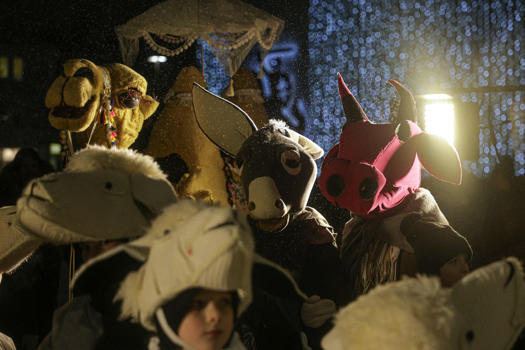 gintares-daknytes-nuotr-5