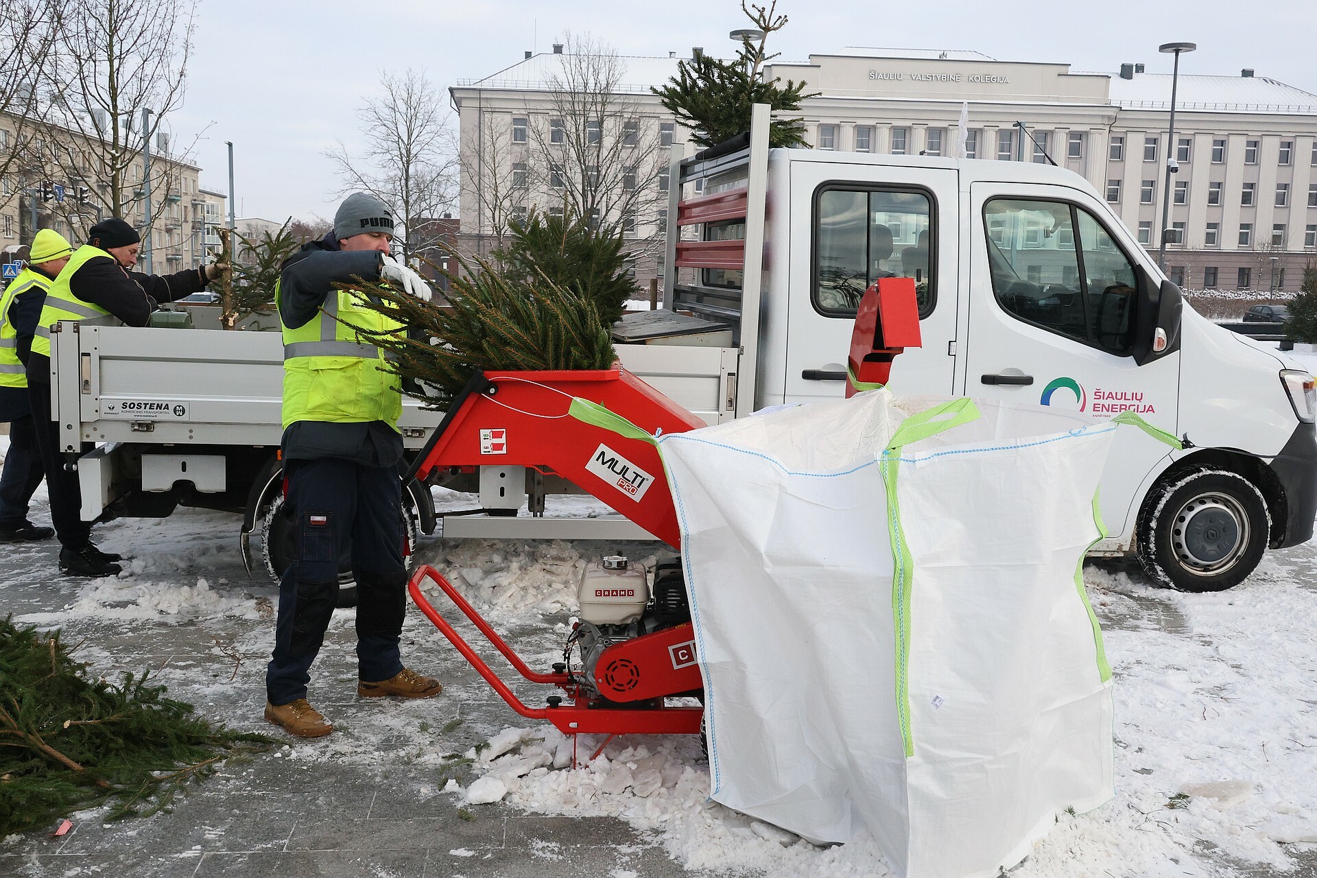 Prasidėjo kalėdinių eglučių surinkimo akcija...