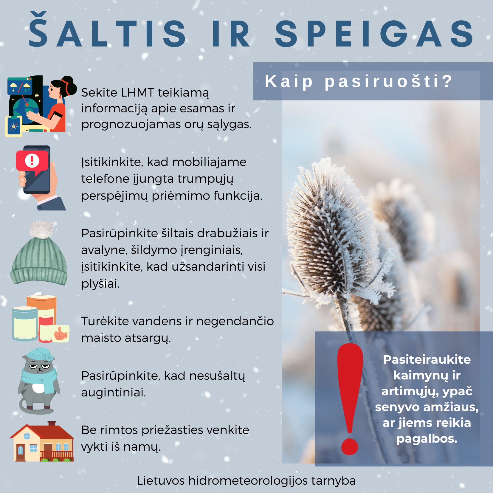 saltis-ir-speigas-i