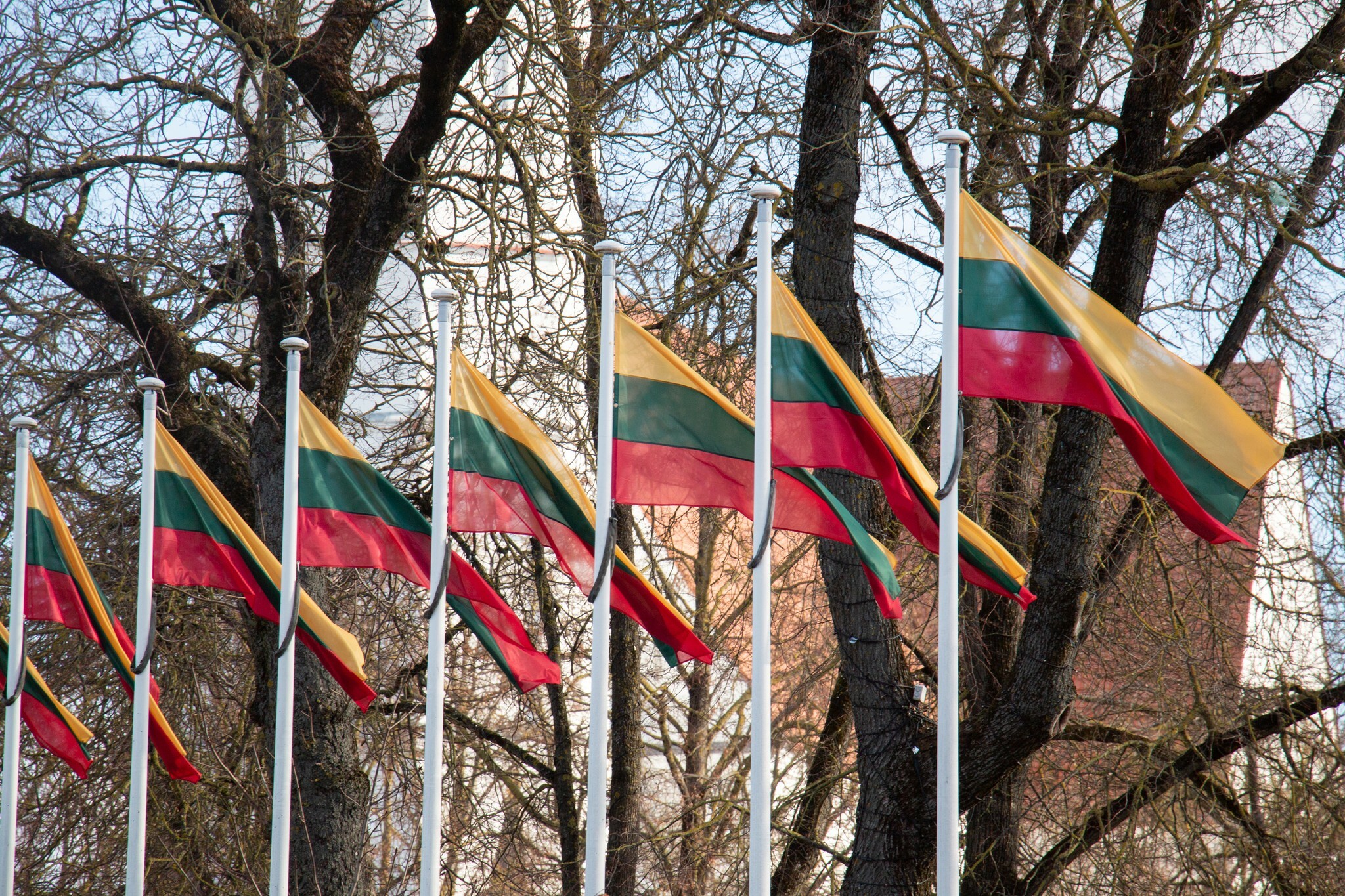 liubov-yarmoshenko-nuotr-2-1