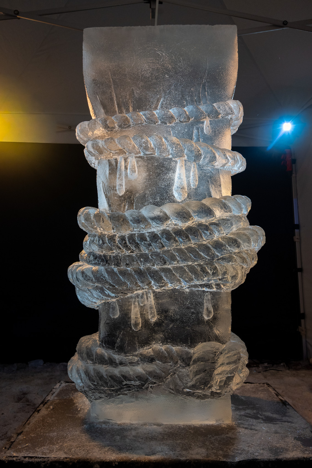 z-le-ozoli-a-sneidere-jpg