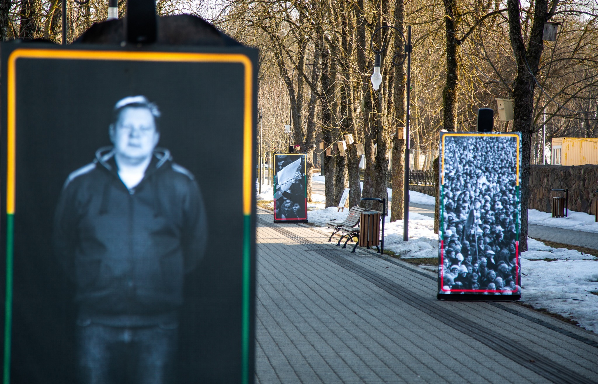 t649888498-1405391081631719-3255511140753871621-n