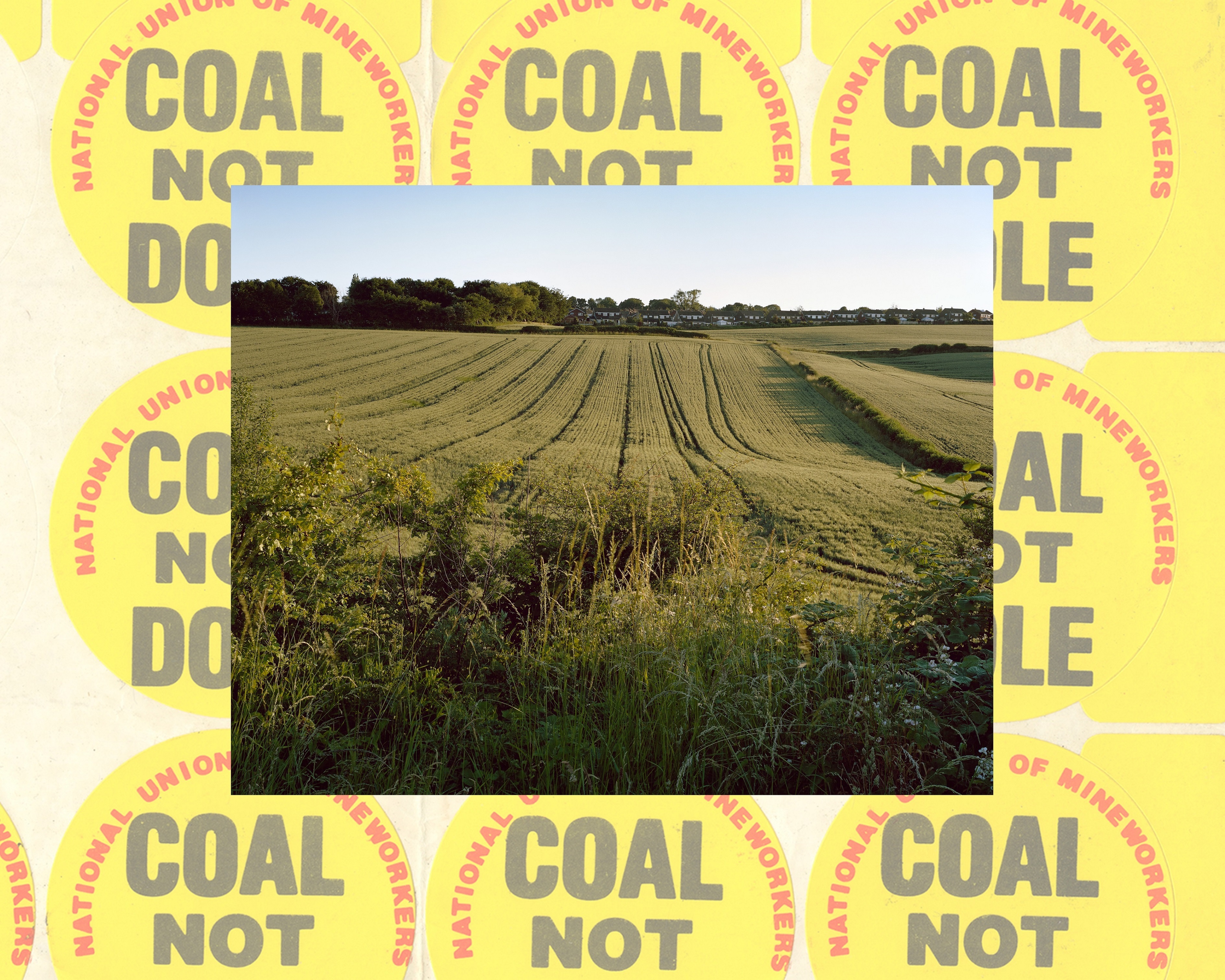 t1984-m-birzelio-18-d-sefildas-anglija