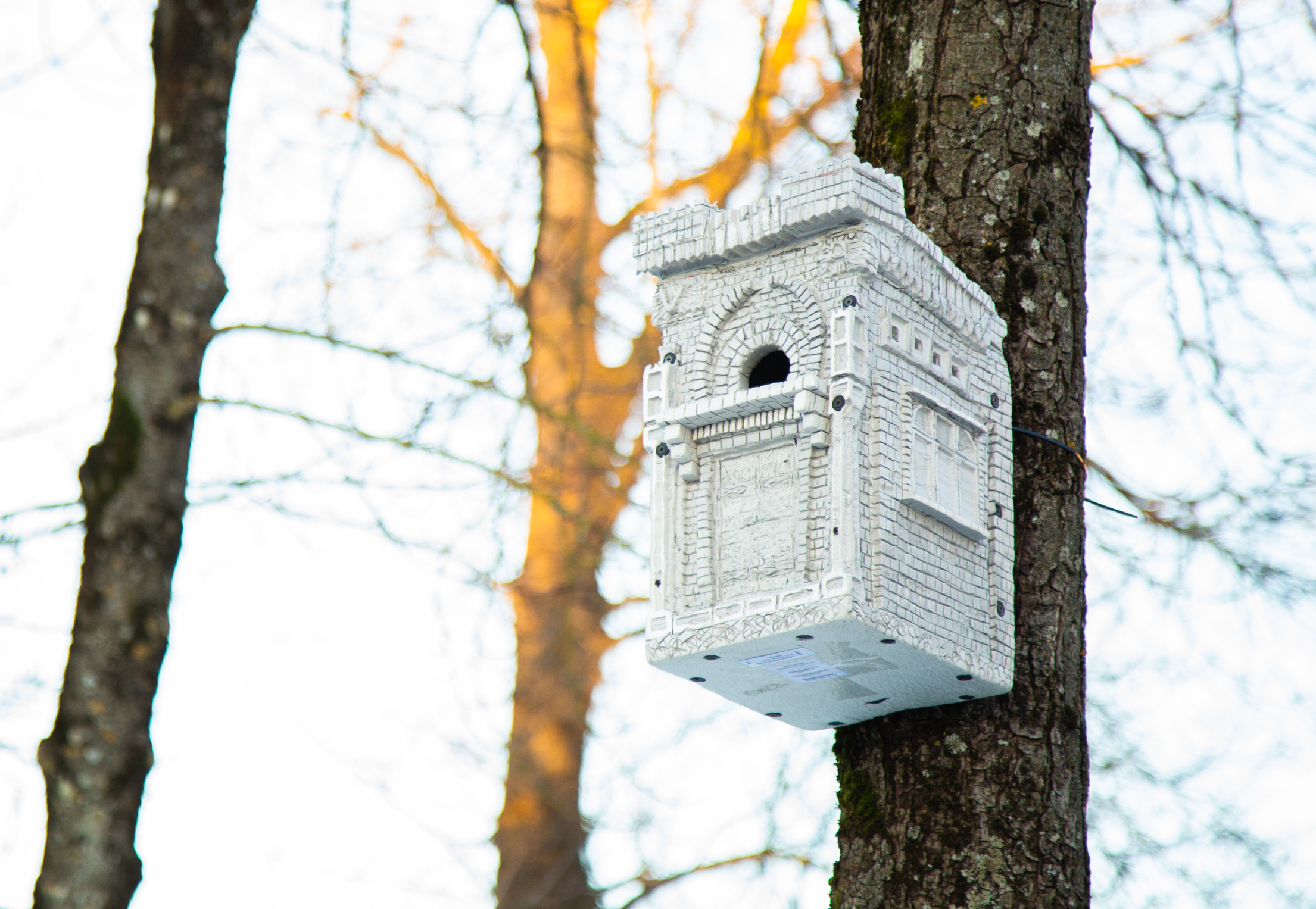 Pasaulinės žemės dienos renginių ciklą Šiauliuose vainikavo koncertas Rėkyvoje