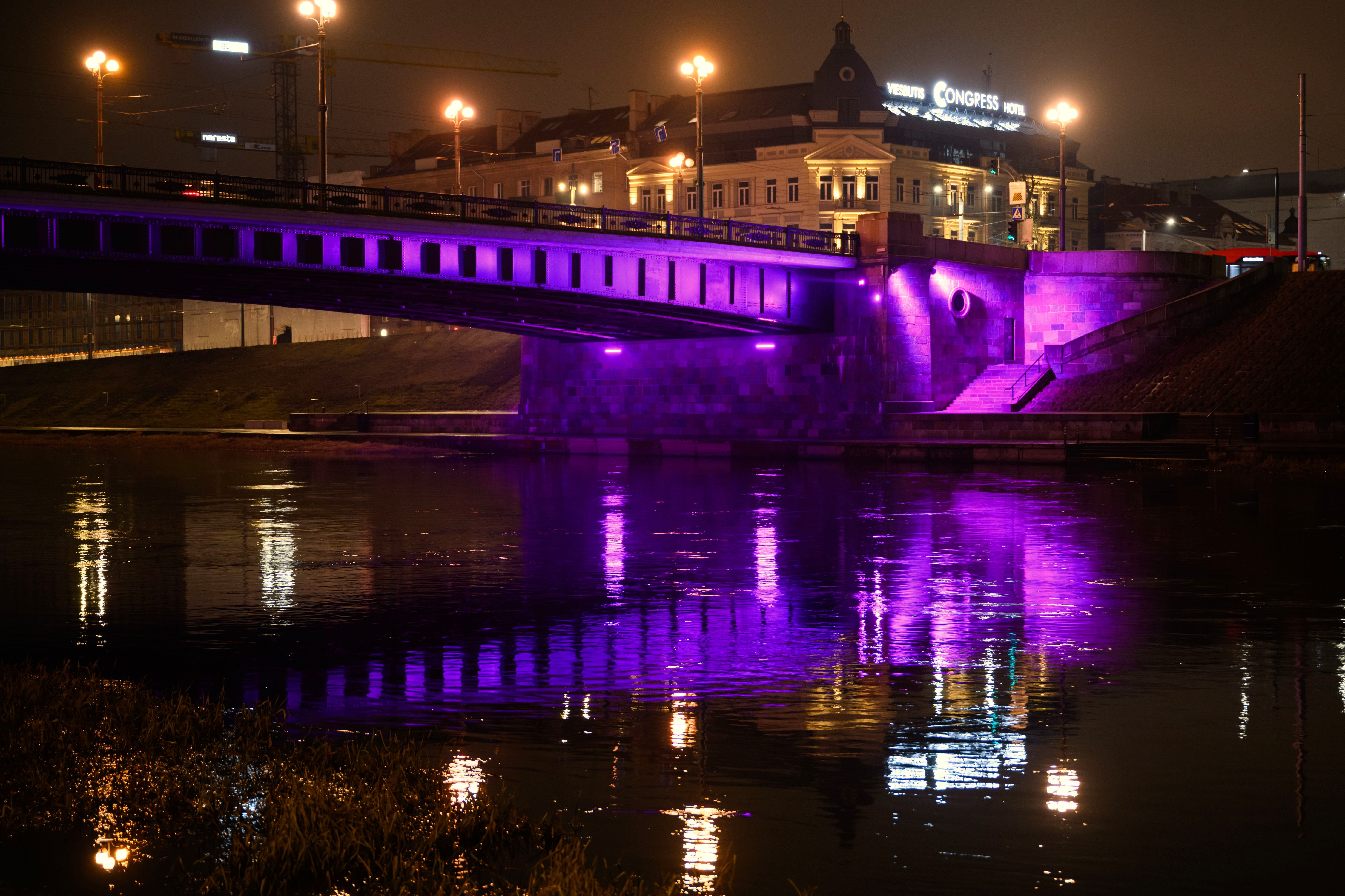 Purpurinė diena - pasaulinė epilepsijos...
