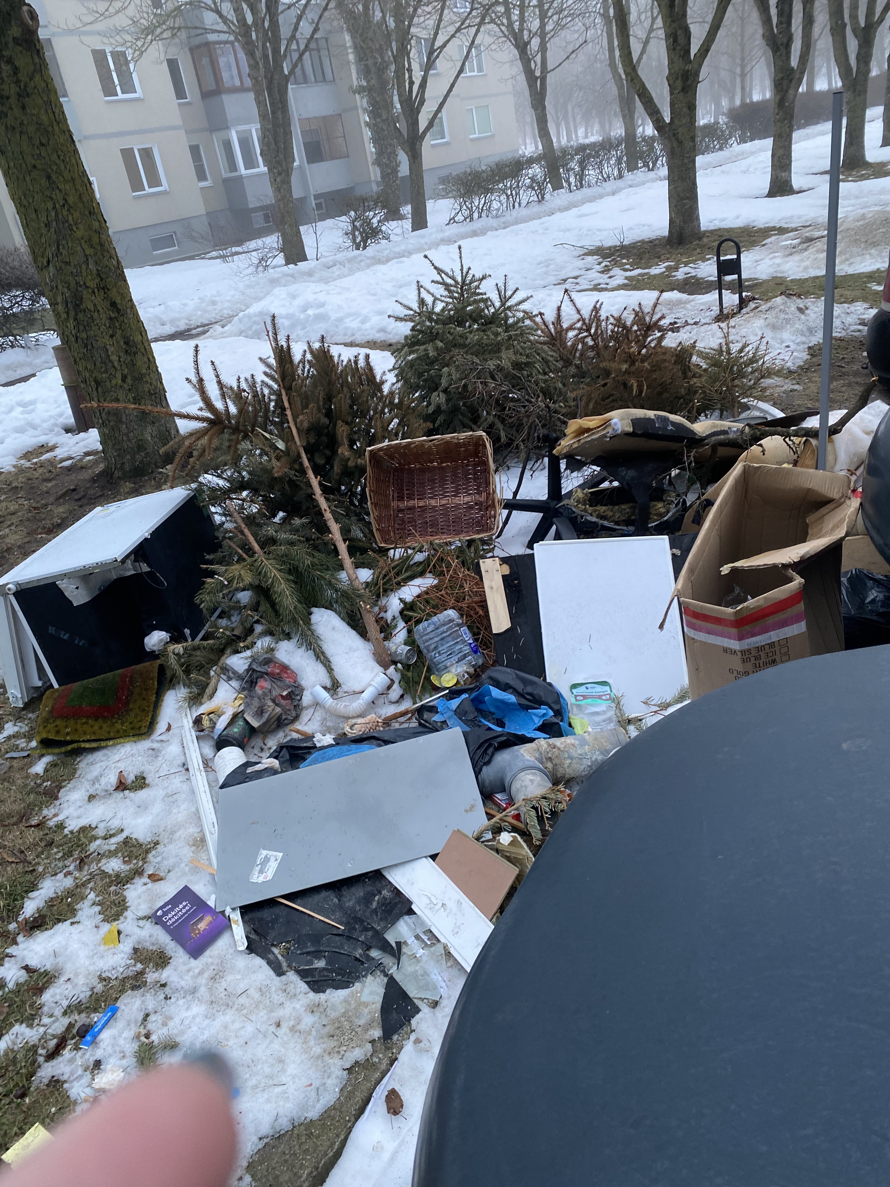 v-grinkeviciaus-g-18