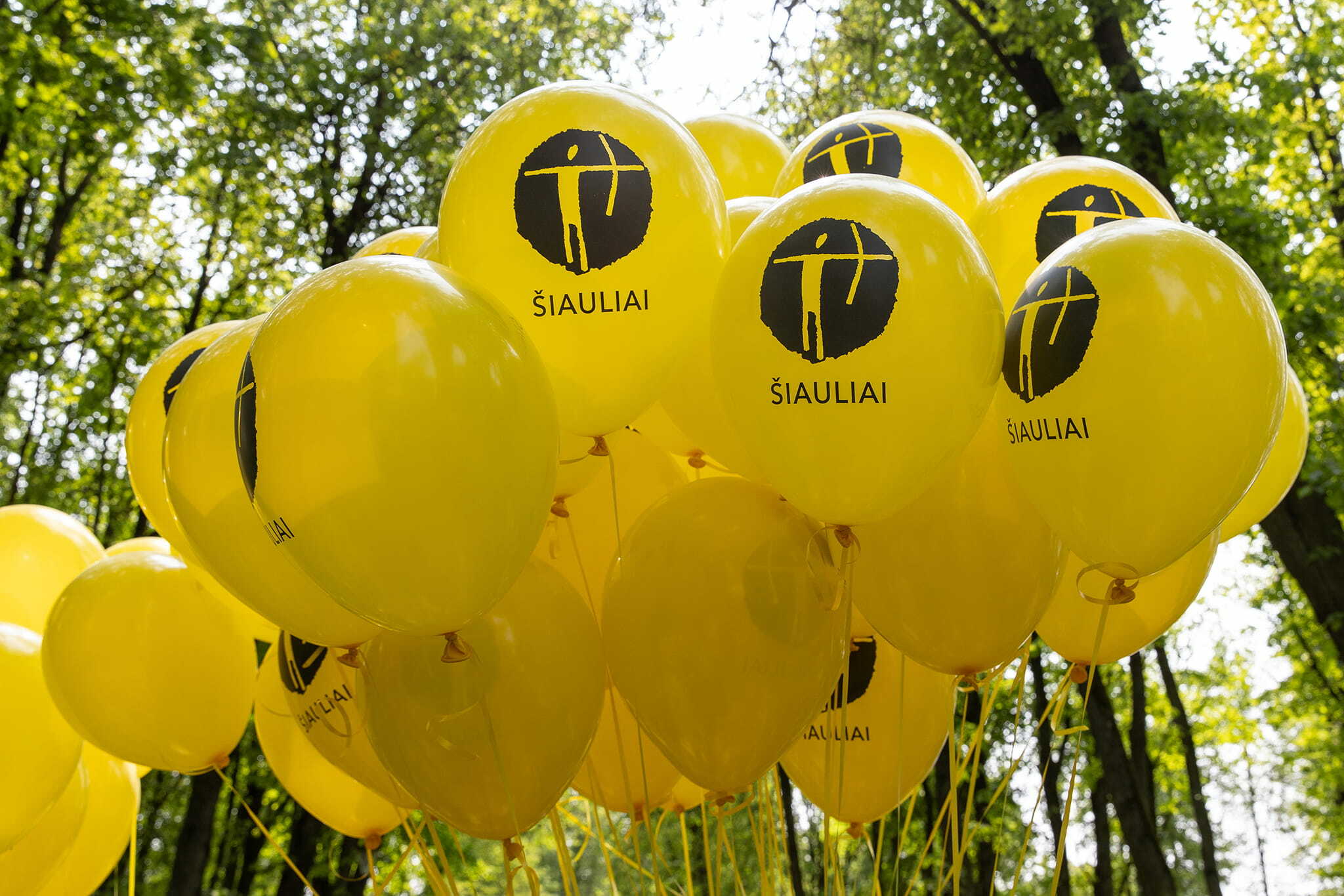 t1-1