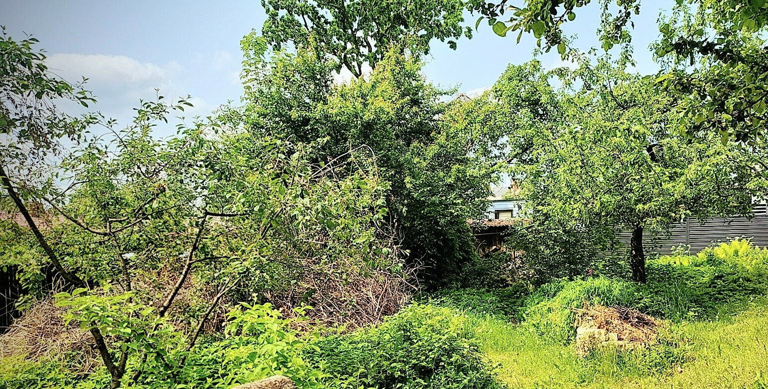 Aktualu žemės sklypų naudotojams. Vyks...