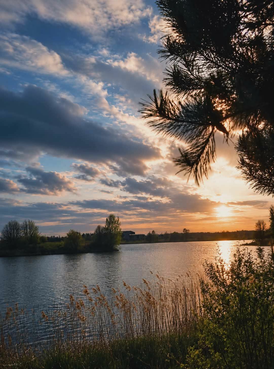 Šiaulių miesto maudyklų vandens kokybės rezultatai