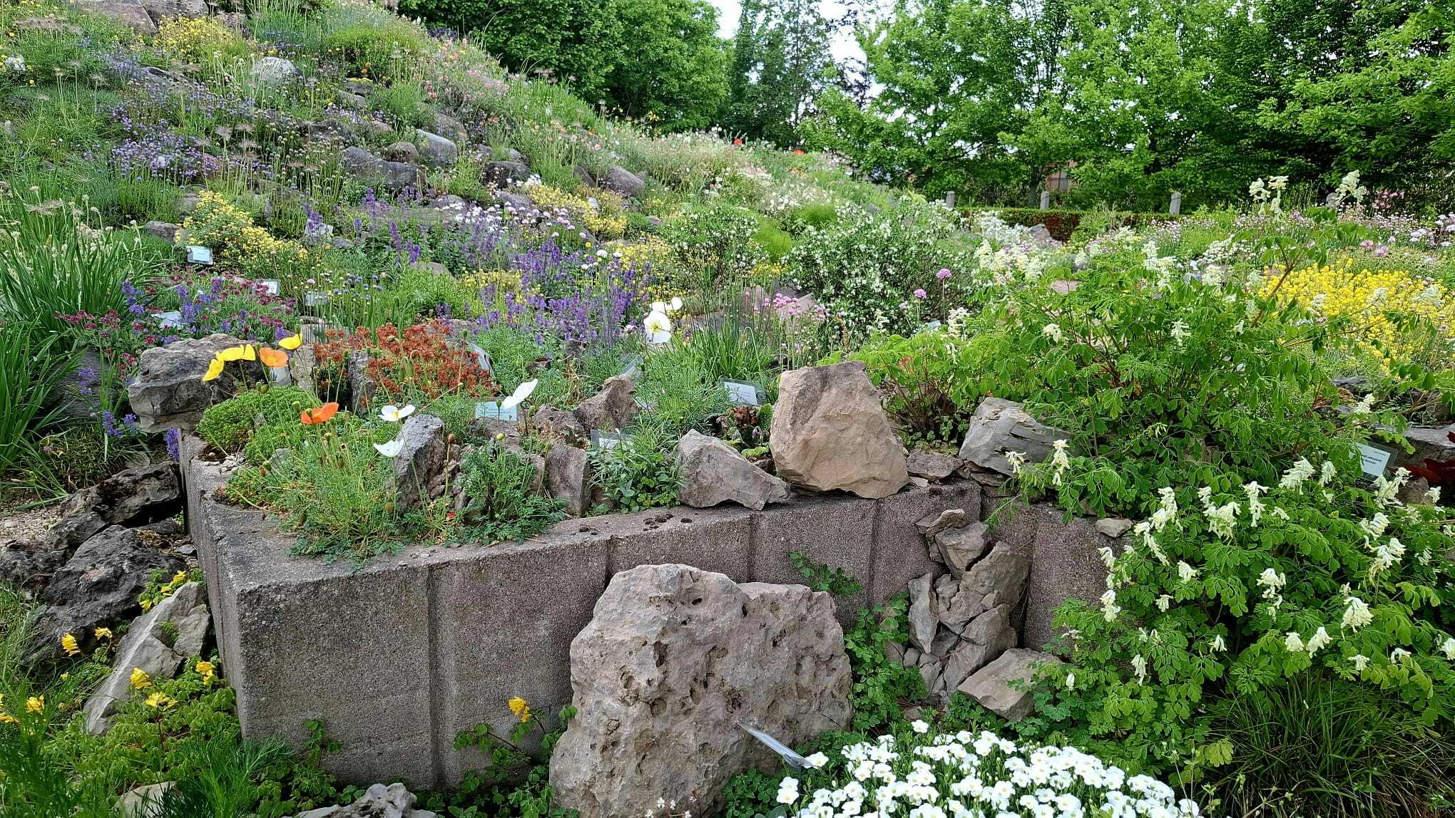 img-20260604-wa0007