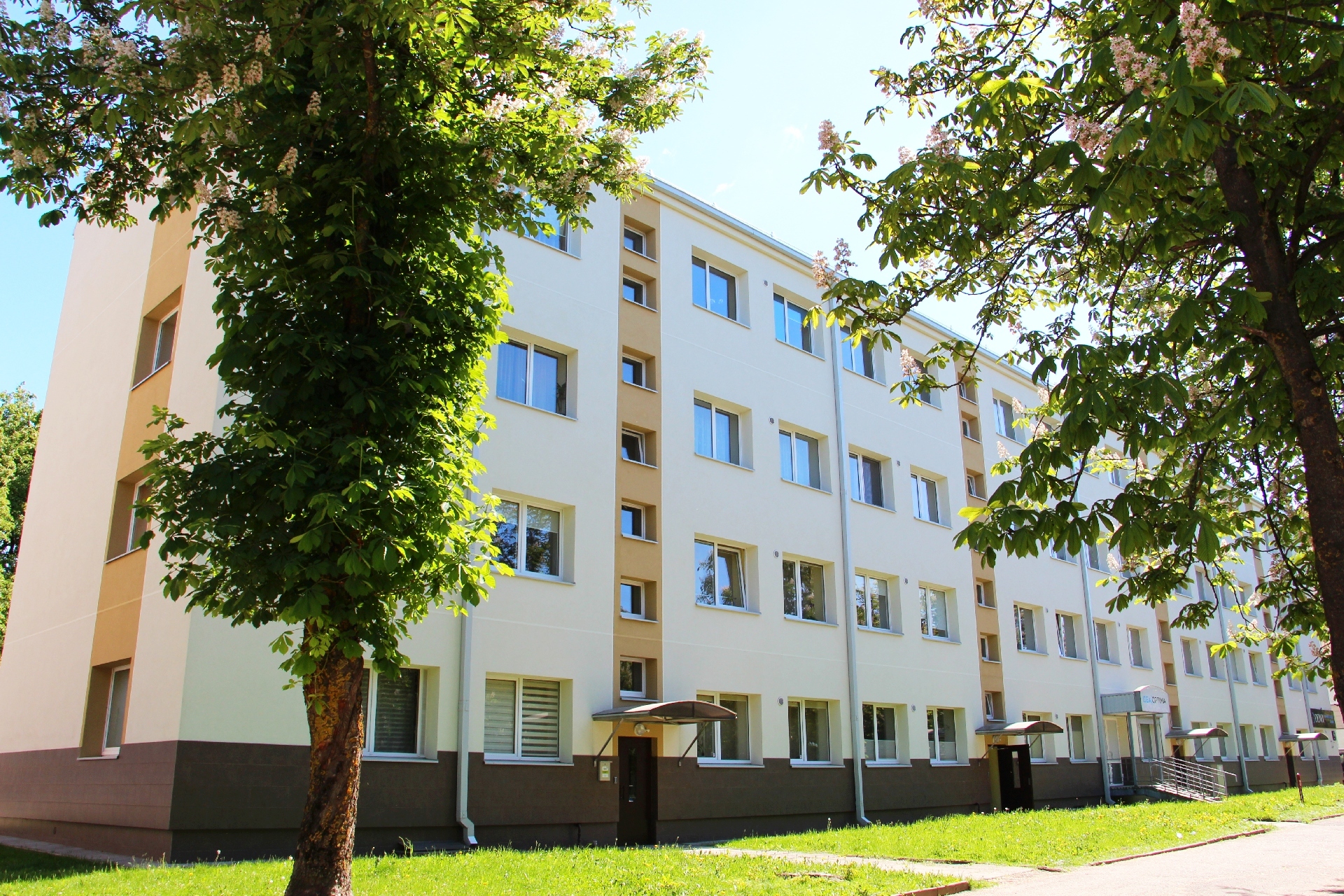 Palankus metas renovacijai: daugiabučių namų...