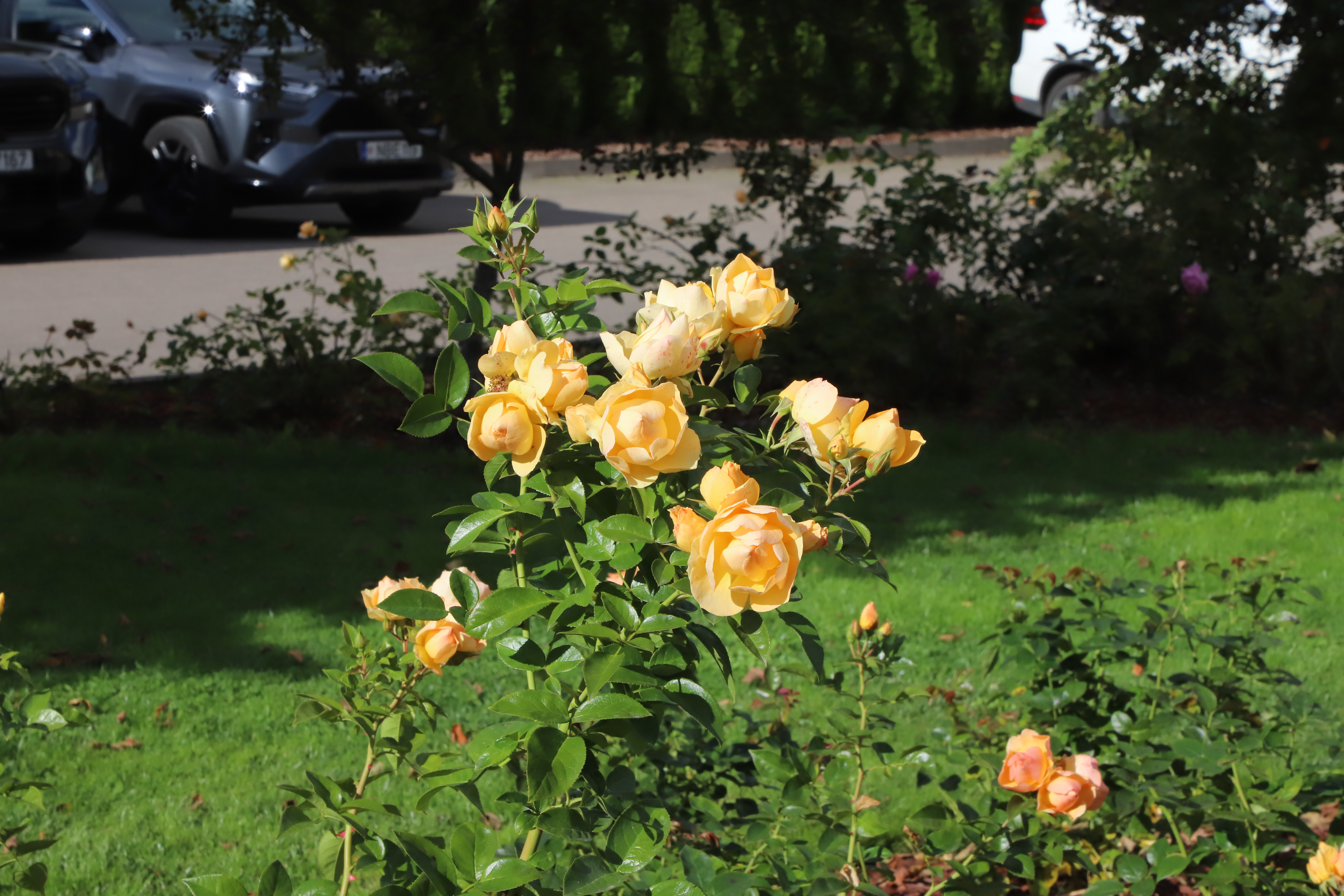 img-1716