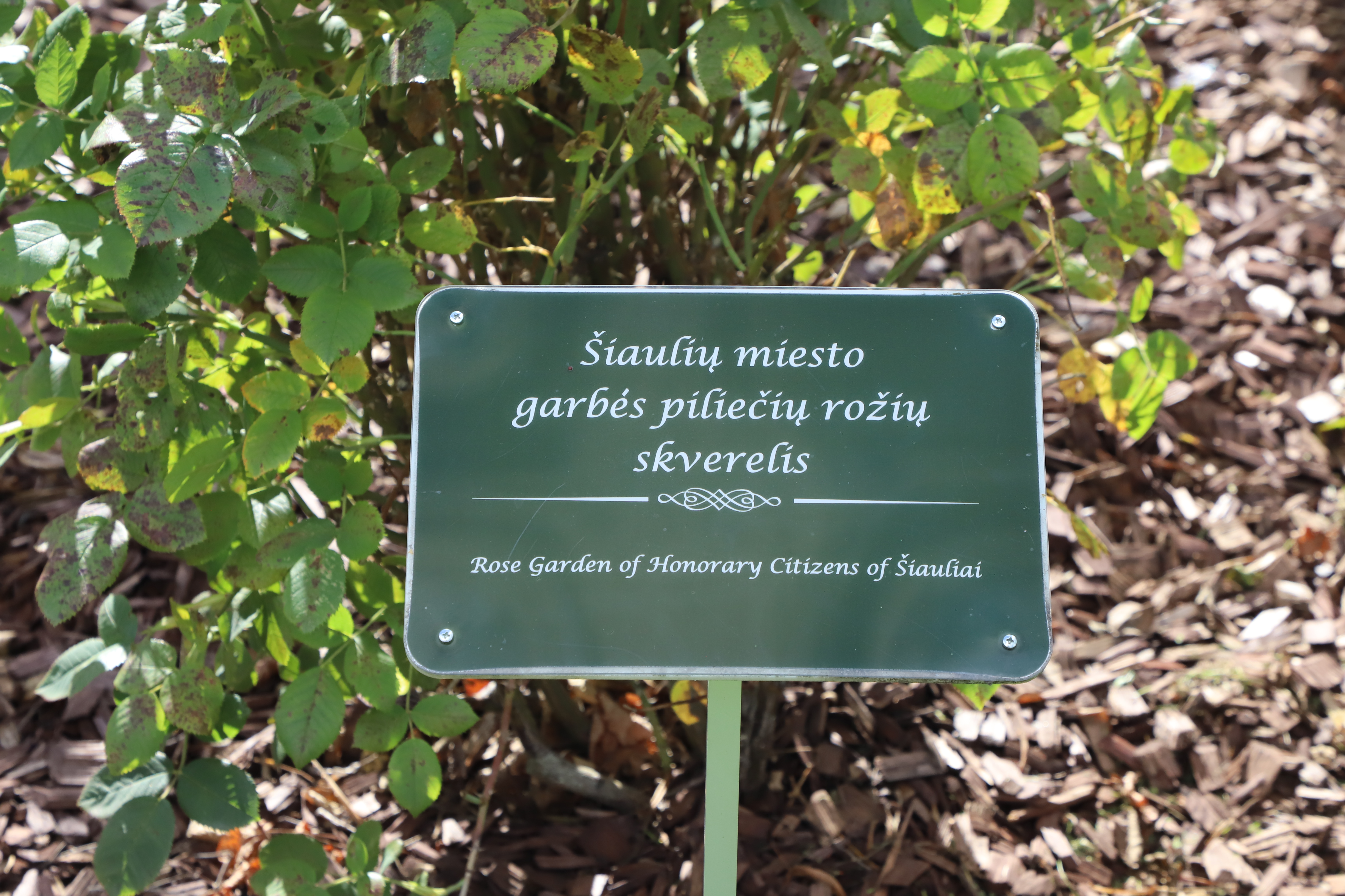 img-1718