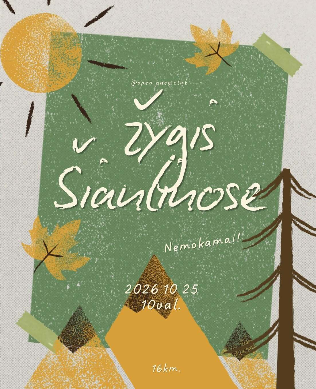 zygis-siauliuose