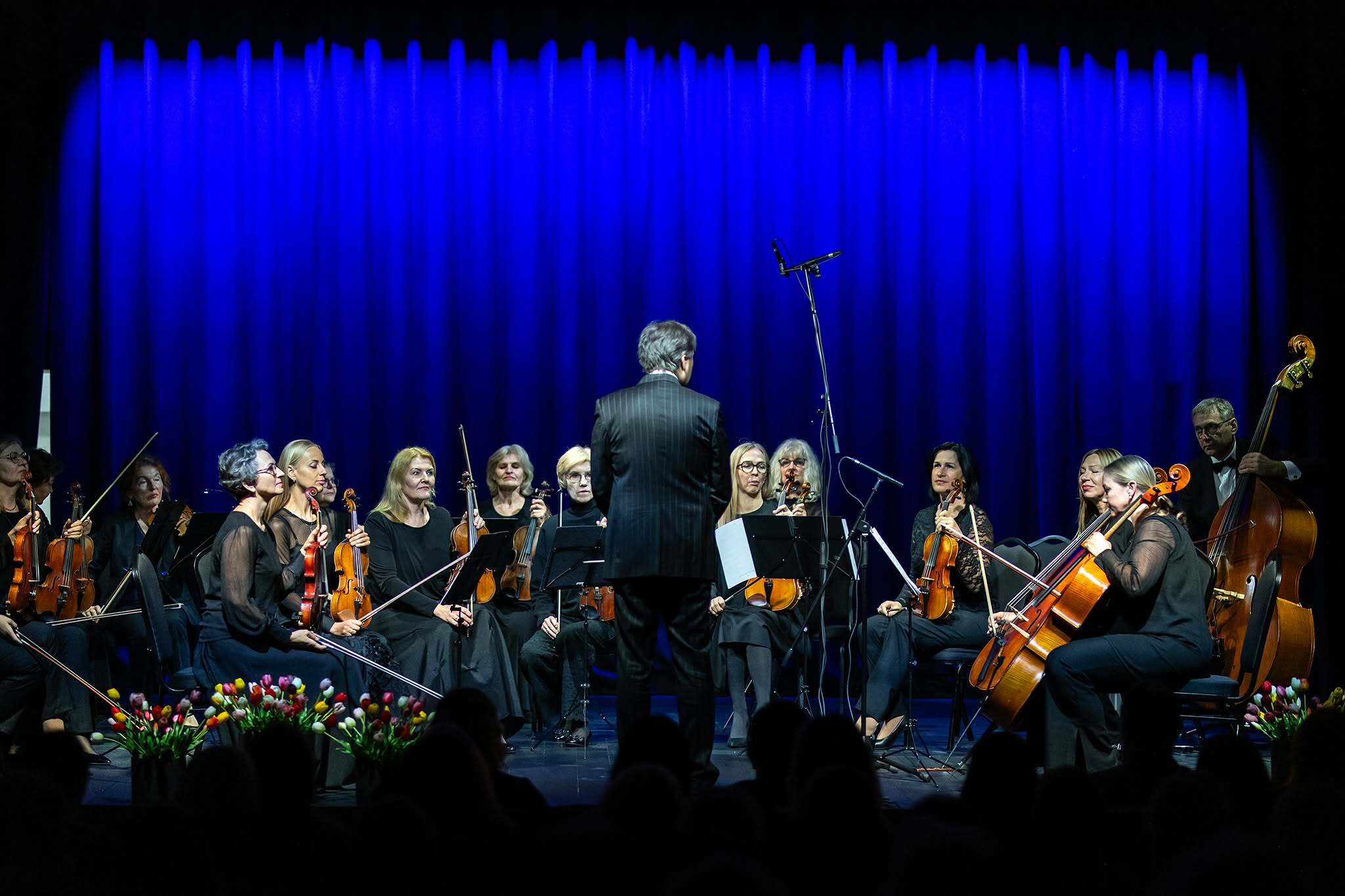 rolando-parafinaviciaus-nuotr-7