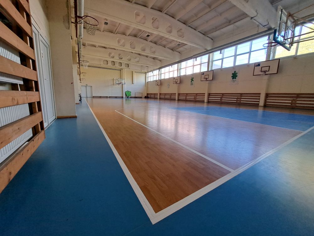 Dainų progimnazijos sporto salė