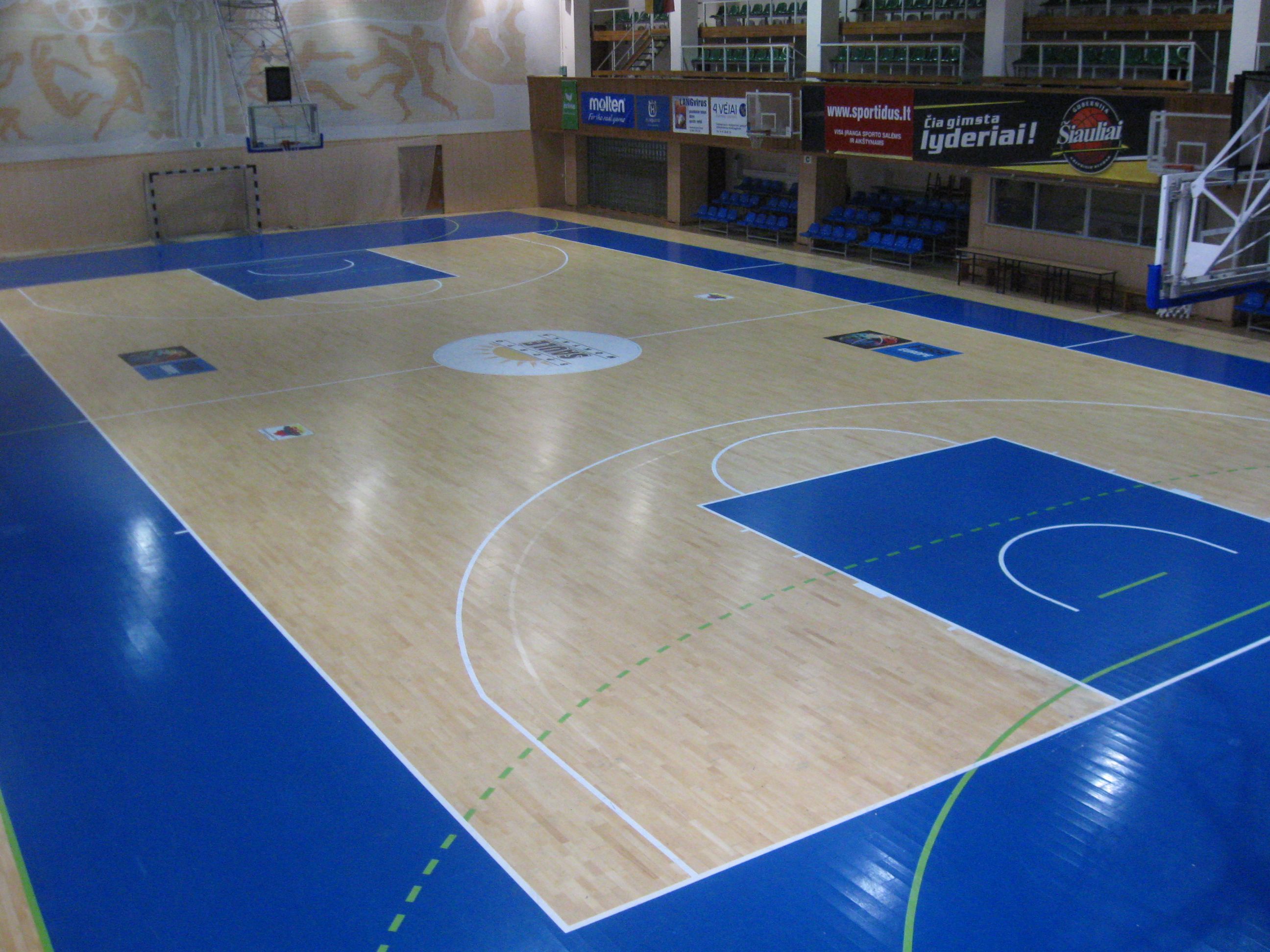 Hall of public institution Siauliai basketball academy Saule